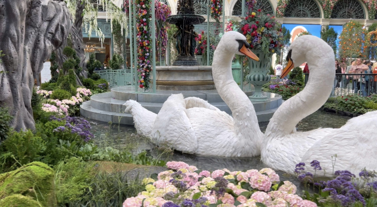 Bellagio’s “Giardino Dell’ Amore” spring display